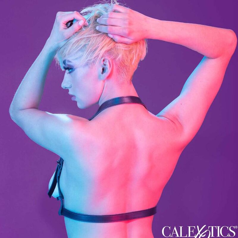 Calexotics Euphoria Halter Buckle Harness Black | Niks.fi verkkokauppa