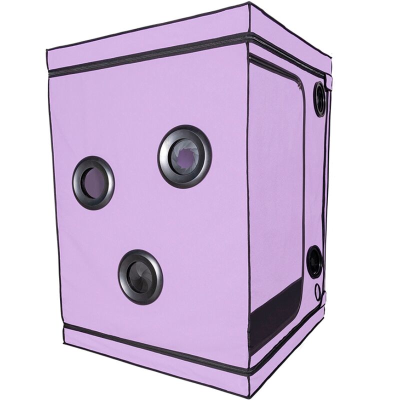 Kink Club Cabin Scandale Purple | Niks.fi verkkokauppa