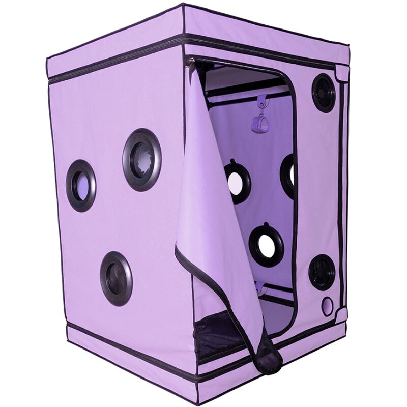 Kink Club Cabin Scandale Purple | Niks.fi verkkokauppa