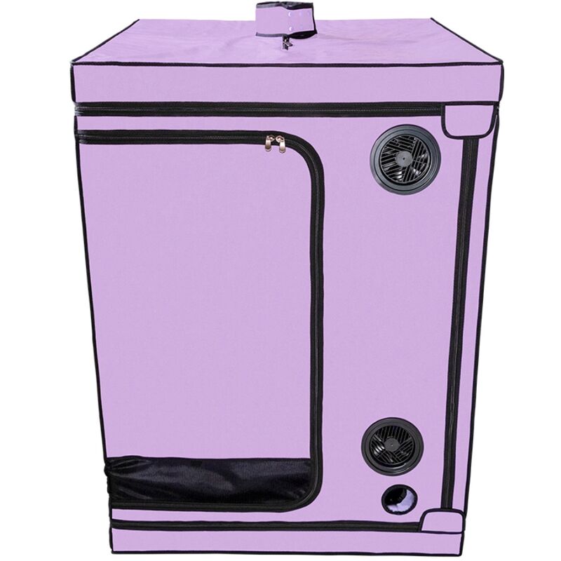 Kink Club Cabin Scandale Purple | Niks.fi verkkokauppa