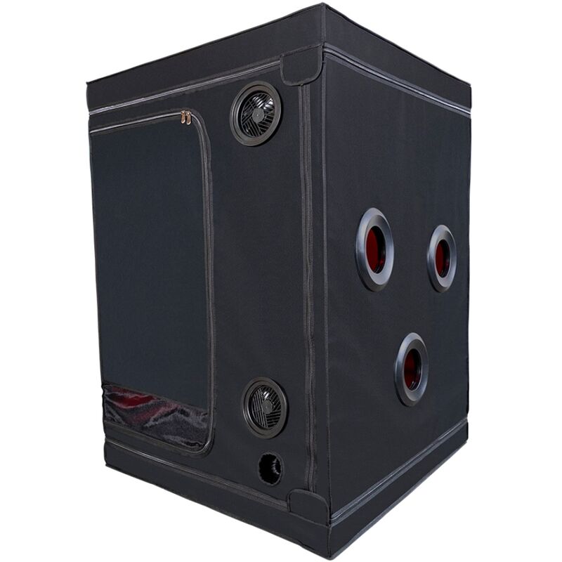 Kink Club Cabin Scandale Black & Red | Niks.fi verkkokauppa