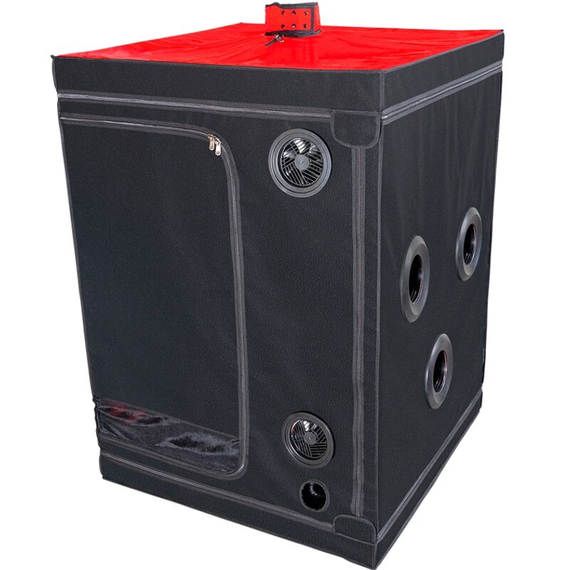 Kink Club Cabin Scandale Black & Red | Niks.fi verkkokauppa