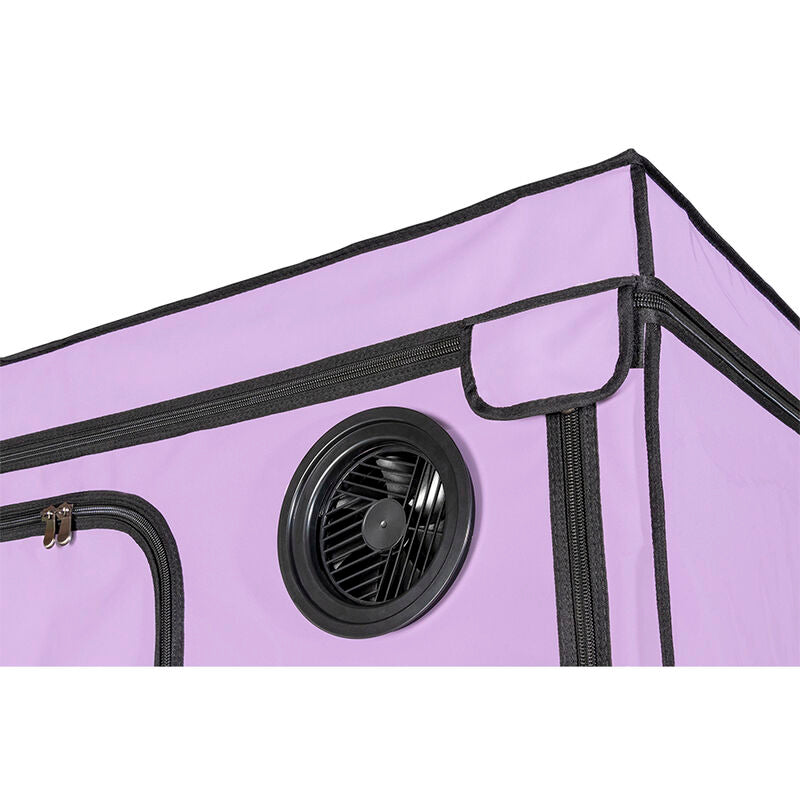 Kink Club Cabin Scandale Purple | Niks.fi verkkokauppa