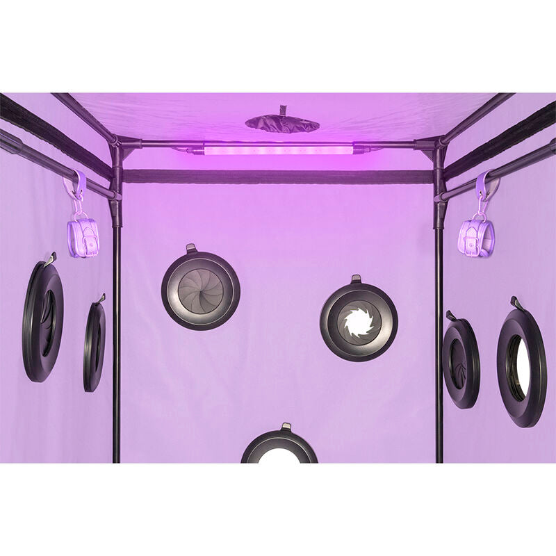 Kink Club Cabin Scandale Purple | Niks.fi verkkokauppa