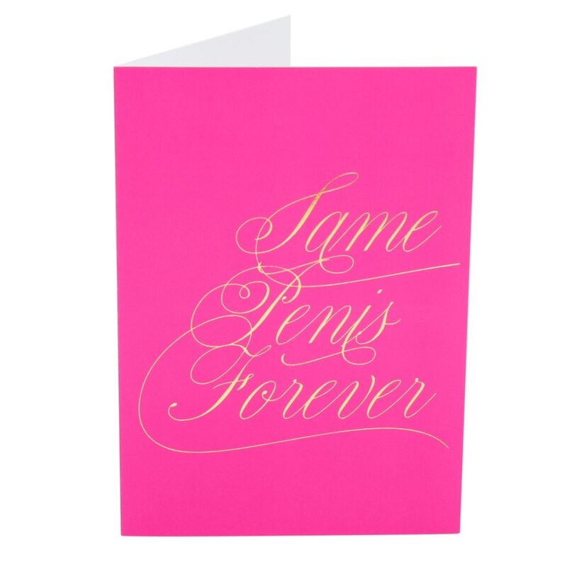 Kamasutra Naughty Notes: Same Penis Forever | Niks.fi verkkokauppa