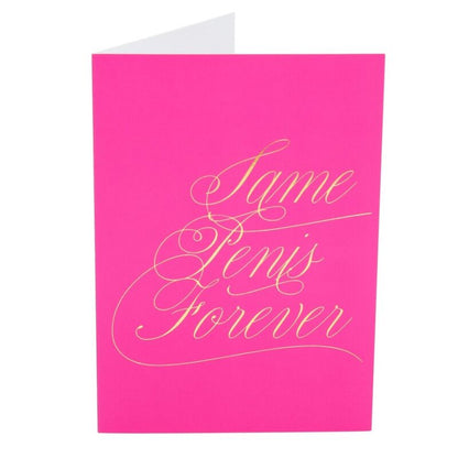 Kamasutra Naughty Notes: Same Penis Forever | Niks.fi verkkokauppa