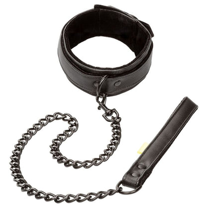 Calexotics Boundless Collar And Leash | Niks.fi verkkokauppa