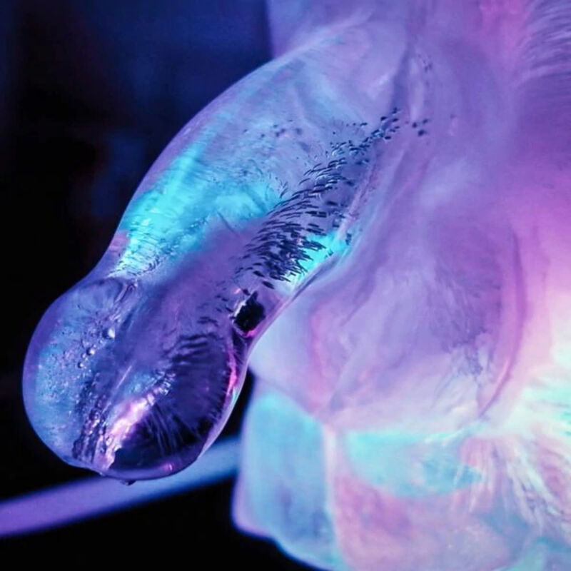 Play Wiv Me Huge Penis Ice Luge Mold | Niks.fi verkkokauppa