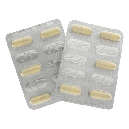 Hot Exxtreme Libido Caps Woman 10 Pcs | Niks.fi verkkokauppa
