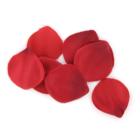 Extase Sensual Red Temptation Chest | Niks.fi verkkokauppa