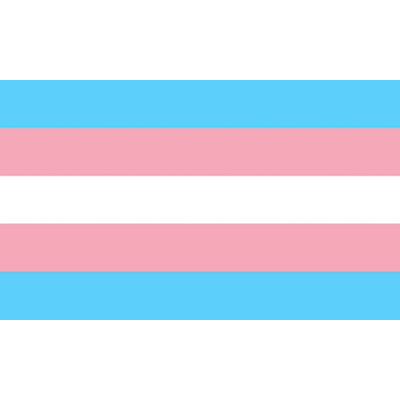 Pride Transexual Flag 90 X 150 | Niks.fi verkkokauppa