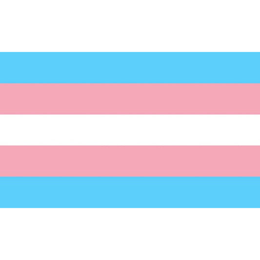 Pride Transexual Flag 90 X 150 | Niks.fi verkkokauppa