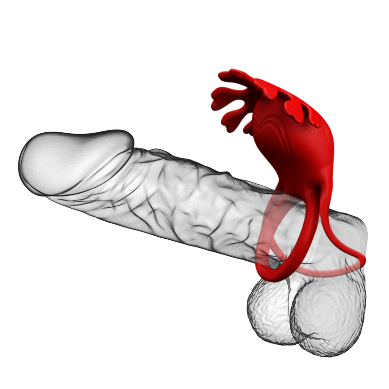 Pretty Love Ruben Vibrator Ring 7 Vibrations Silicone Red | Niks.fi verkkokauppa