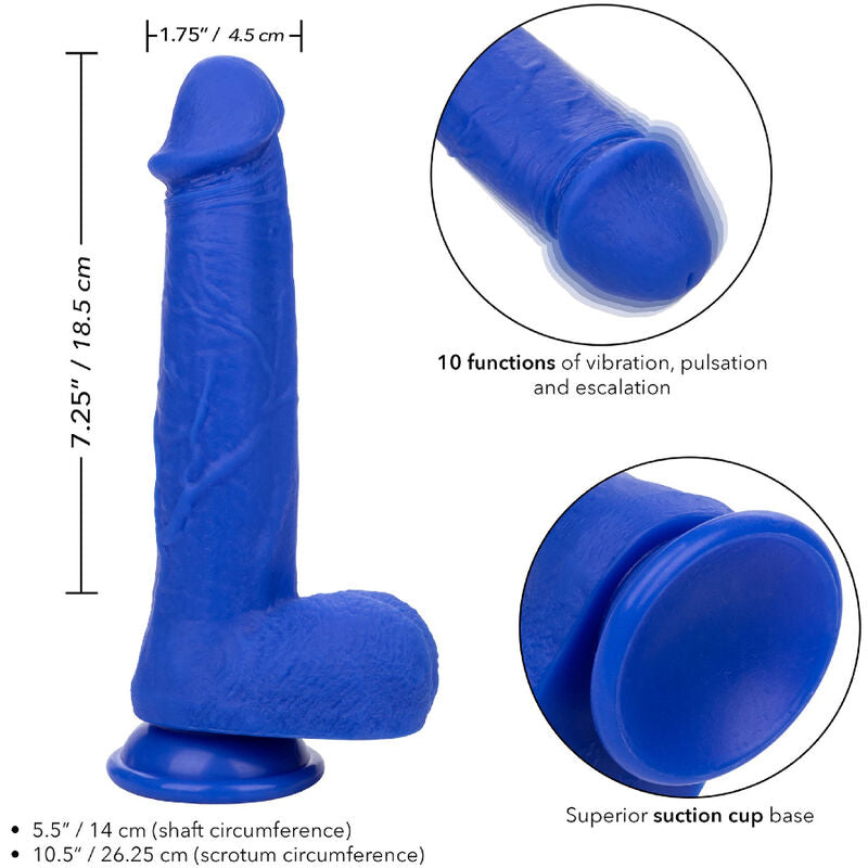 Calexotics Admiral Captain Realistic Dildo Vibrator Blue | Niks.fi verkkokauppa