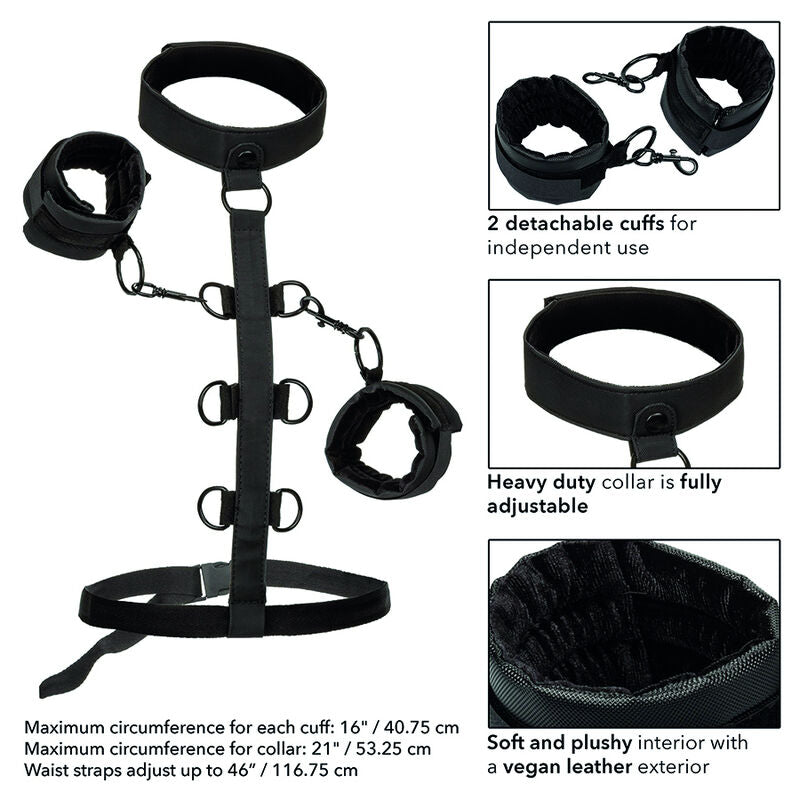 Calexotics Boundless Collar Body Restraint | Niks.fi verkkokauppa