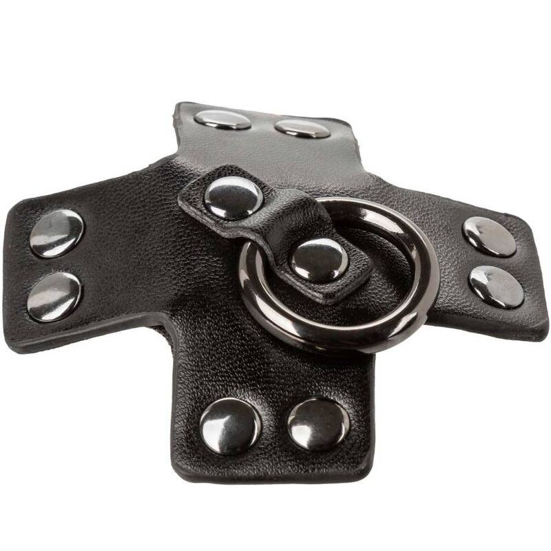 Calexotics Euphoria O-Ring Black | Niks.fi verkkokauppa