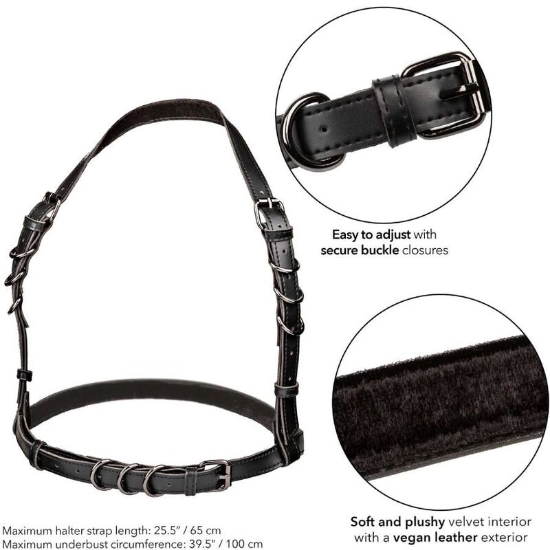 Calexotics Euphoria Halter Buckle Harness Black | Niks.fi verkkokauppa