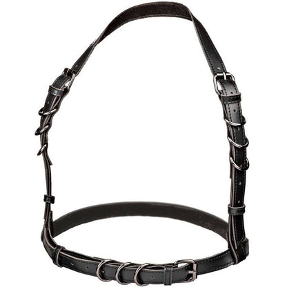 Calexotics Euphoria Plus Size Halter Buckle Harness Black | Niks.fi verkkokauppa