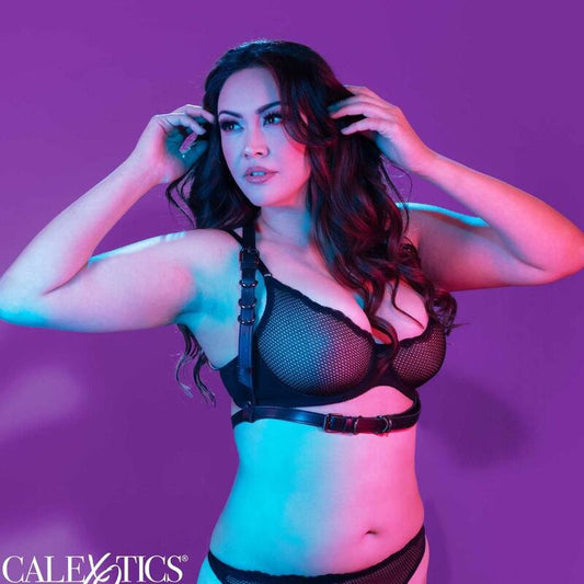 Calexotics Euphoria Plus Size Halter Buckle Harness Black | Niks.fi verkkokauppa
