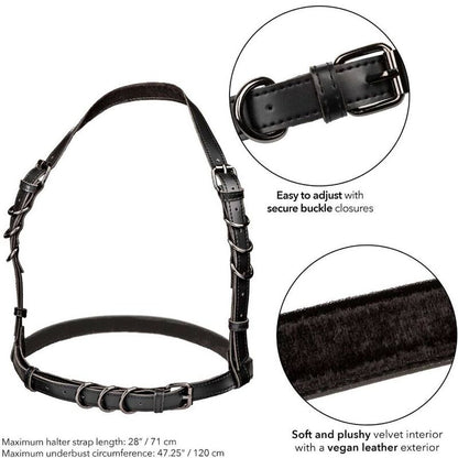 Calexotics Euphoria Plus Size Halter Buckle Harness Black | Niks.fi verkkokauppa