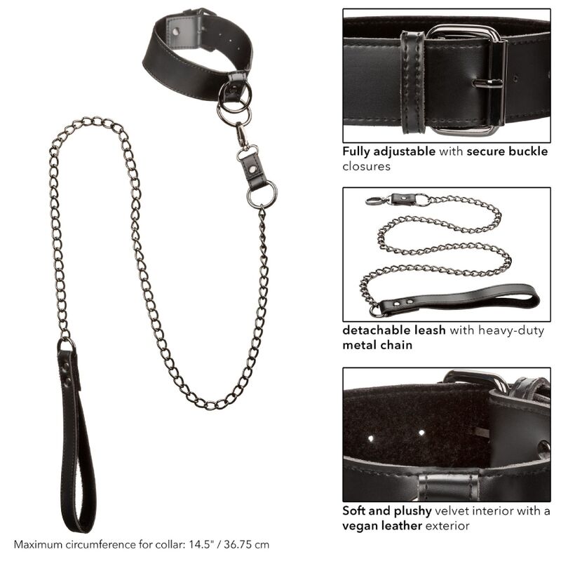 Calexotics Euphoria Collar With Chain Leash | Niks.fi verkkokauppa