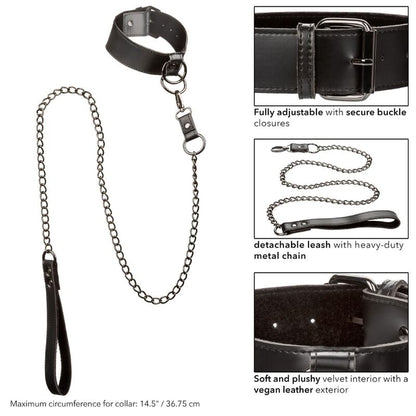 Calexotics Euphoria Collar With Chain Leash | Niks.fi verkkokauppa