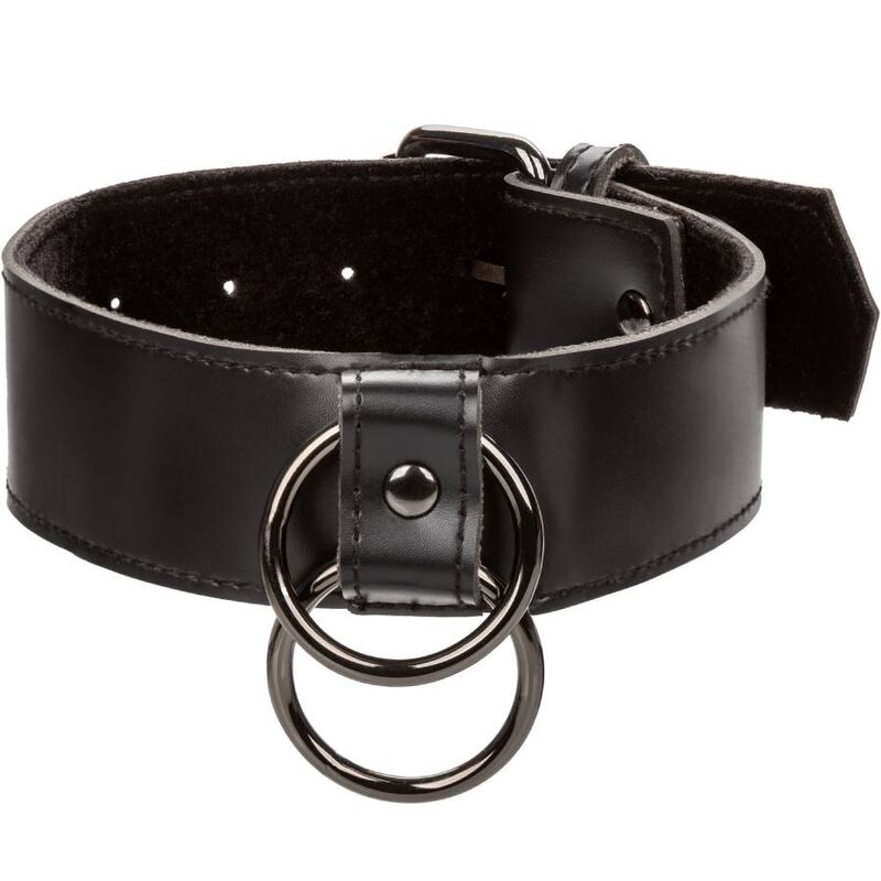 Calexotics Euphoria Collar With Chain Leash | Niks.fi verkkokauppa