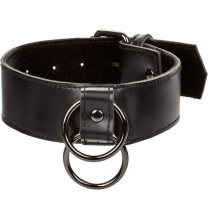 Calexotics Euphoria Collar With Chain Leash | Niks.fi verkkokauppa