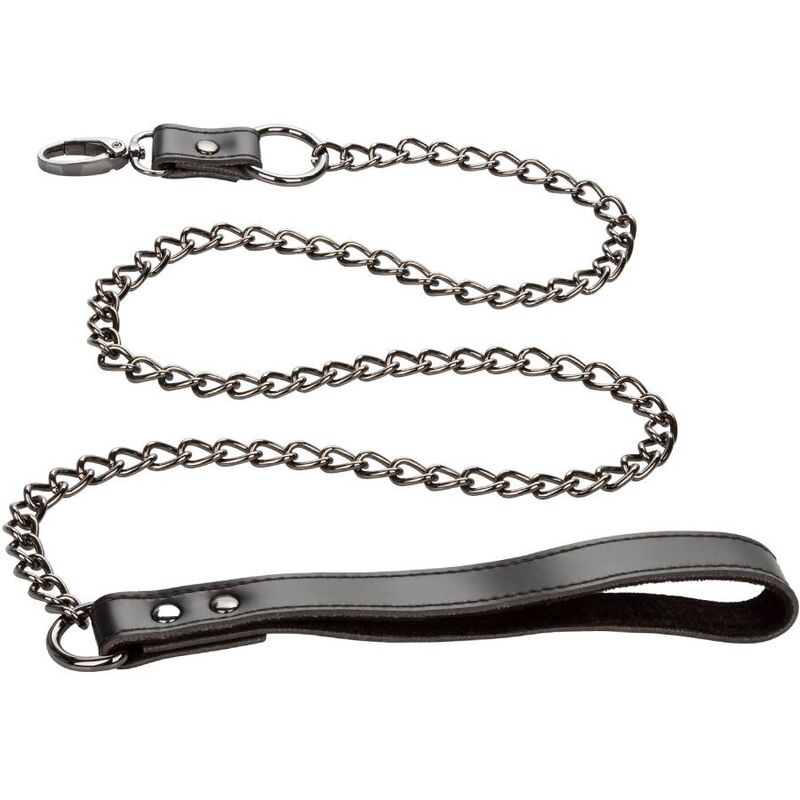 Calexotics Euphoria Collar With Chain Leash | Niks.fi verkkokauppa