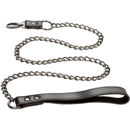 Calexotics Euphoria Collar With Chain Leash | Niks.fi verkkokauppa