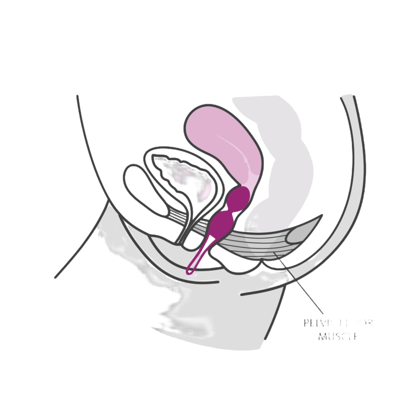 Smartballs Duo Pelvic Balls White / Pastel Lilac | Niks.fi verkkokauppa