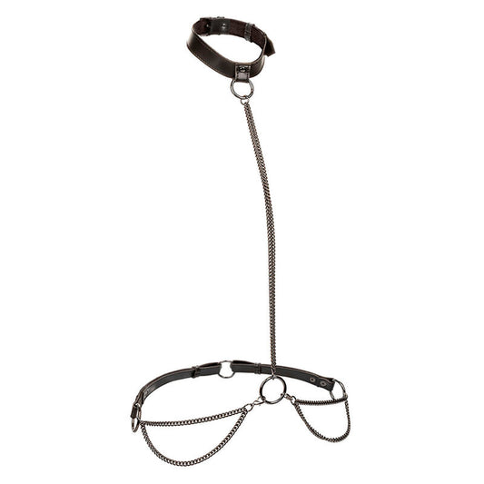 Euphoria Chain Halter Collar & Leash Plus Size | Niks.fi verkkokauppa