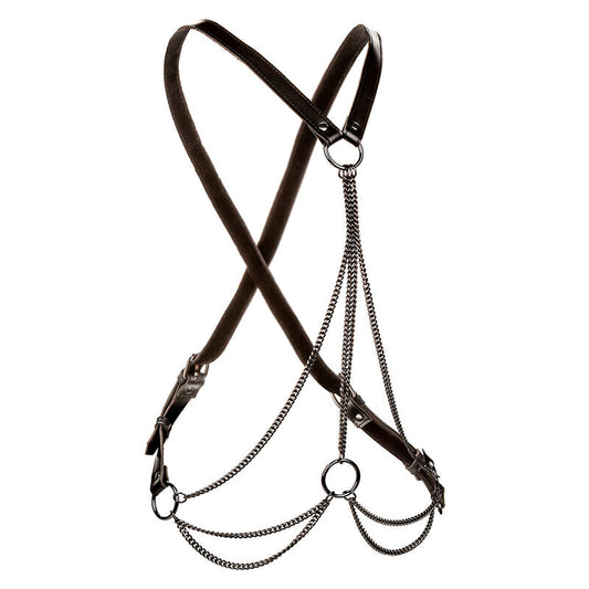 Euphoria Multichain Harness Premium Plus Size | Niks.fi verkkokauppa
