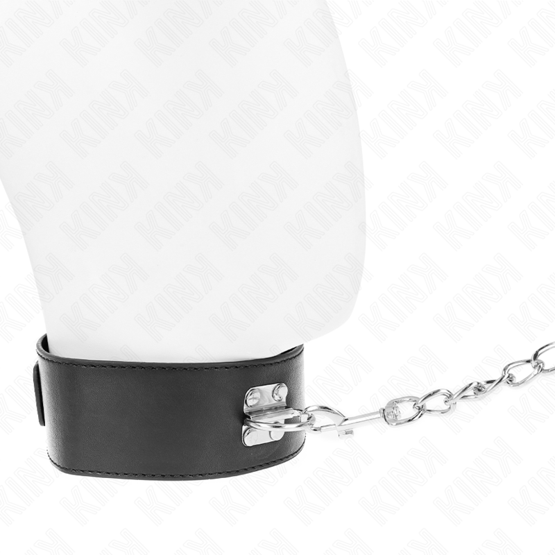 Kinkbasic Model Collar With Leash 65 Cm Model 0 | Niks.fi verkkokauppa