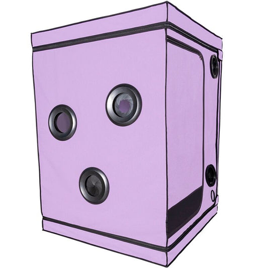 Kink Club Cabin Scandale Purple | Niks.fi verkkokauppa