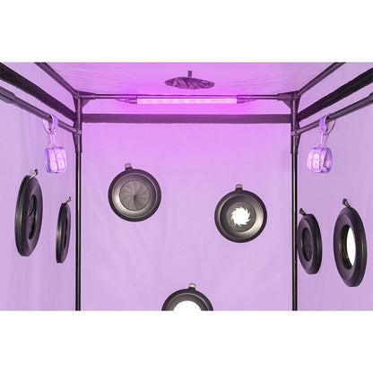 Kink Club Cabin Scandale Purple | Niks.fi verkkokauppa