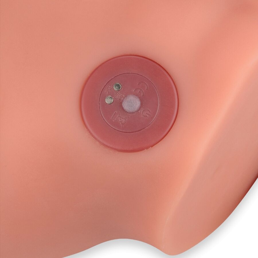 Frederico Masturbador Realistic Dildo Front Position With Thrusting 15 Cm | Niks.fi verkkokauppa
