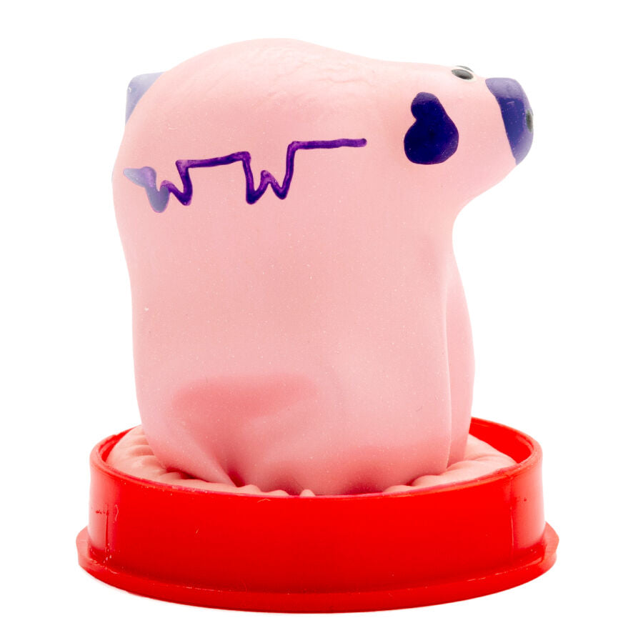 Handpainted Novelty Condoms Small Pig | Niks.fi verkkokauppa