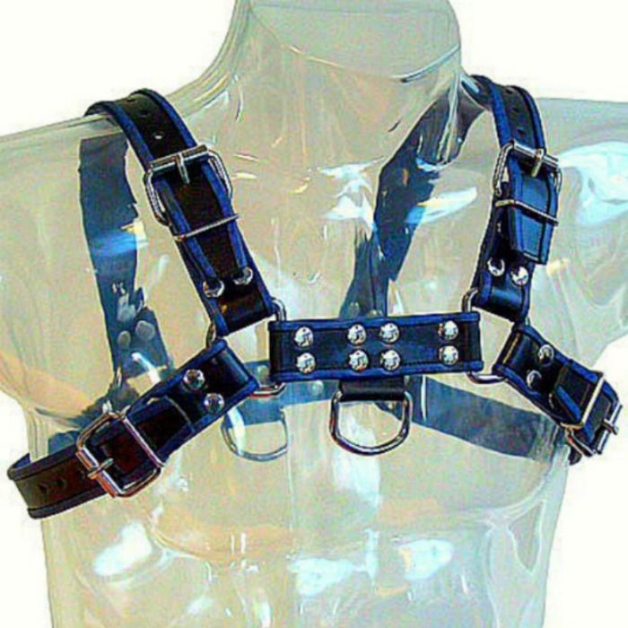 Leather Body Blue And Black Leather Harness Chest Bulldog | Niks.fi verkkokauppa