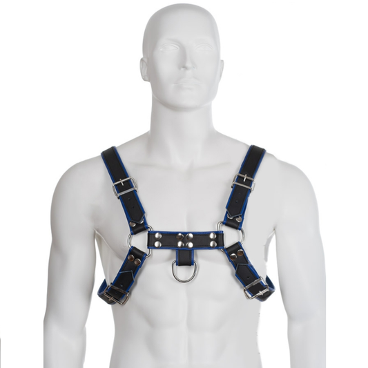 Leather Body Blue And Black Leather Harness Chest Bulldog | Niks.fi verkkokauppa