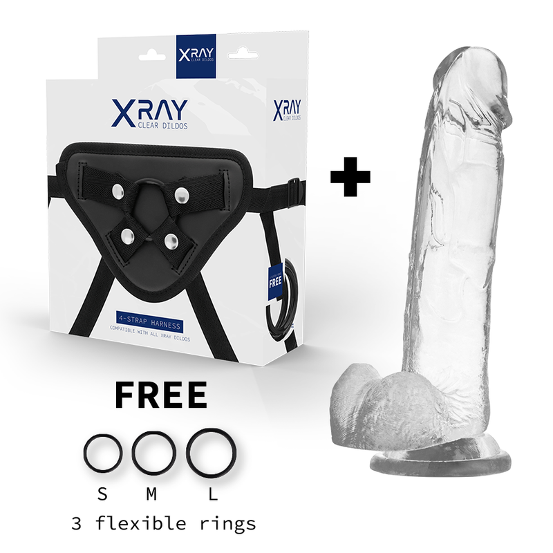 X Ray Harness + Cock With Balls 22 Cm -O 4.6 Cm | Niks.fi verkkokauppa